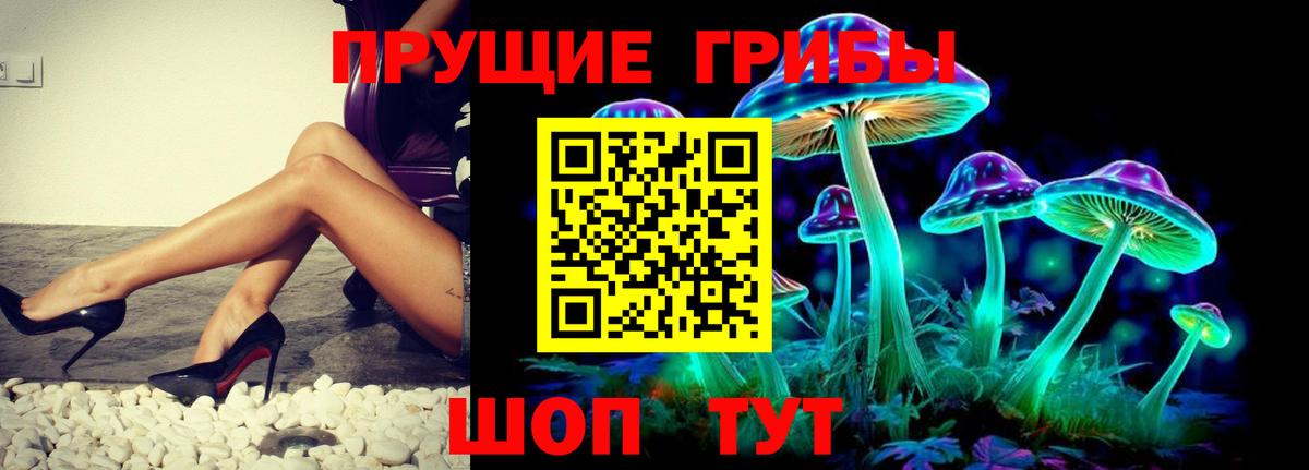 наркота  Галлюциногенные грибы прущие грибы  Вход с VPN  Саров 